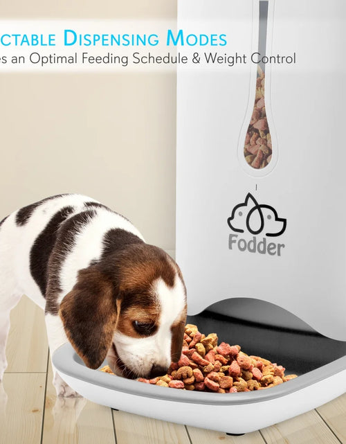 Load image into Gallery viewer, SLAPF30 - Smart Automatic Cat &amp; Dog Food Dispenser - Digital Pet Feeder with Voice Message Playback
